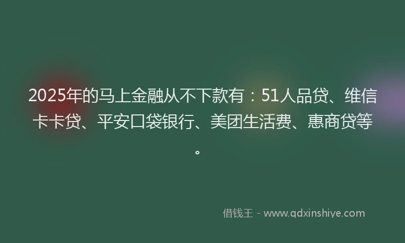 2025年的马上金融从不下款有：51人品贷、维信卡卡贷、平安口袋银行、美团生活费、惠商贷等。