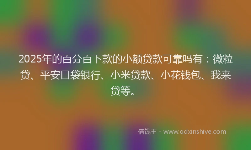 2025年的百分百下款的小额贷款可靠吗有：微粒贷、平安口袋银行、小米贷款、小花钱包、我来贷等。