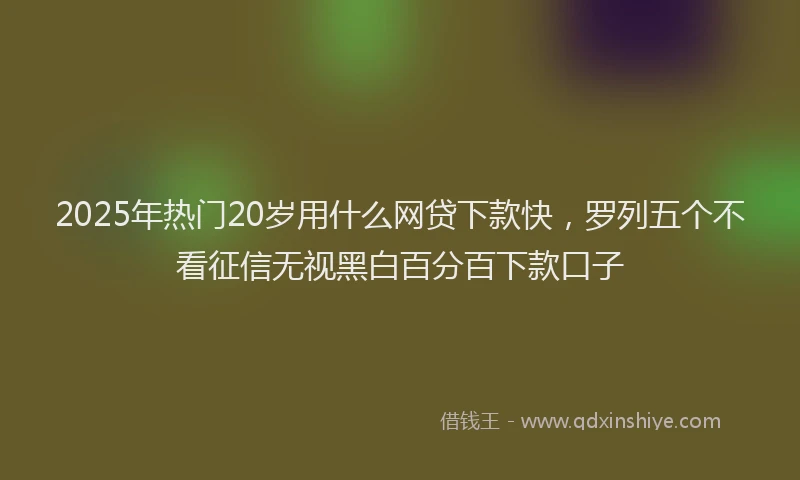2025年热门20岁用什么网贷下款快，罗列五个不看征信无视黑白百分百下款口子