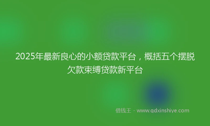 2025年最新良心的小额贷款平台，概括五个摆脱欠款束缚贷款新平台