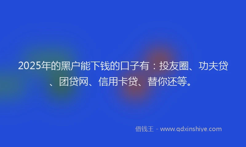 2025年的黑户能下钱的口子有：投友圈、功夫贷、团贷网、信用卡贷、替你还等。