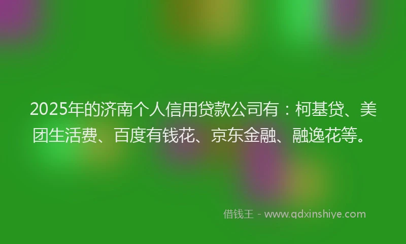 2025年的济南个人信用贷款公司有：柯基贷、美团生活费、百度有钱花、京东金融、融逸花等。