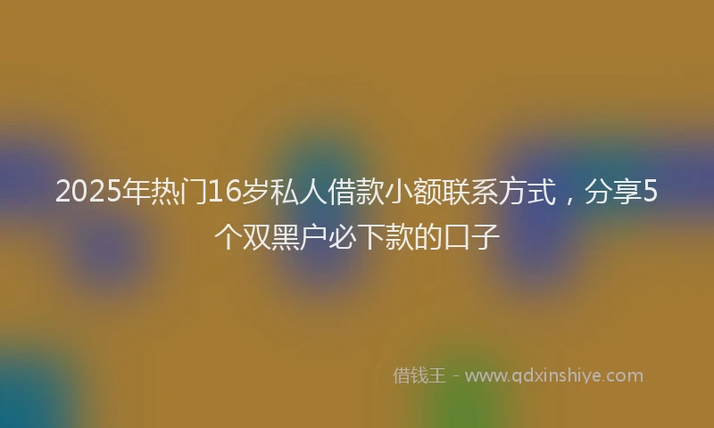 2025年热门16岁私人借款小额联系方式，分享5个双黑户必下款的口子