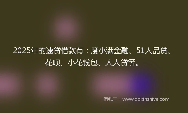 2025年的速贷借款有：度小满金融、51人品贷、花呗、小花钱包、人人贷等。