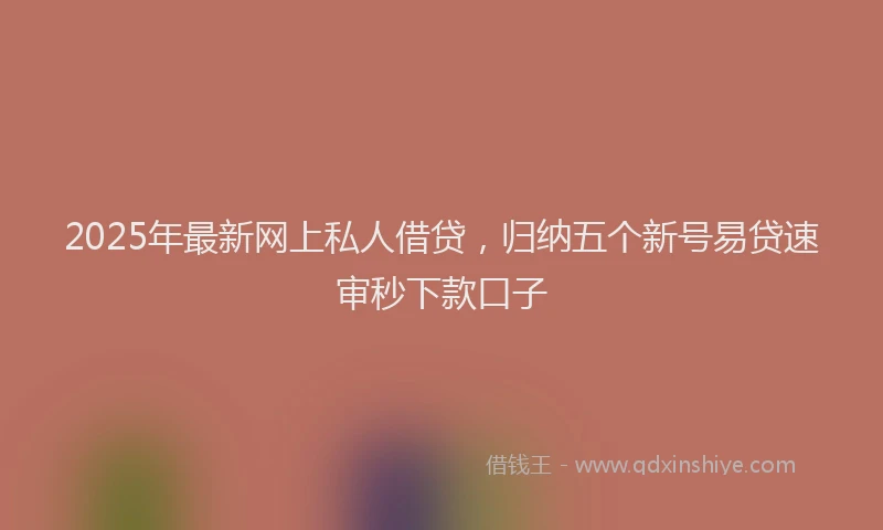 2025年最新网上私人借贷，归纳五个新号易贷速审秒下款口子