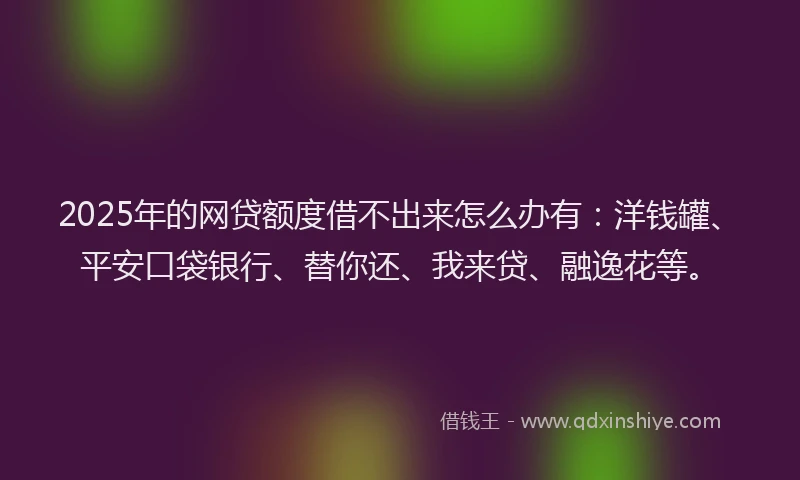 2025年的网贷额度借不出来怎么办有：洋钱罐、平安口袋银行、替你还、我来贷、融逸花等。