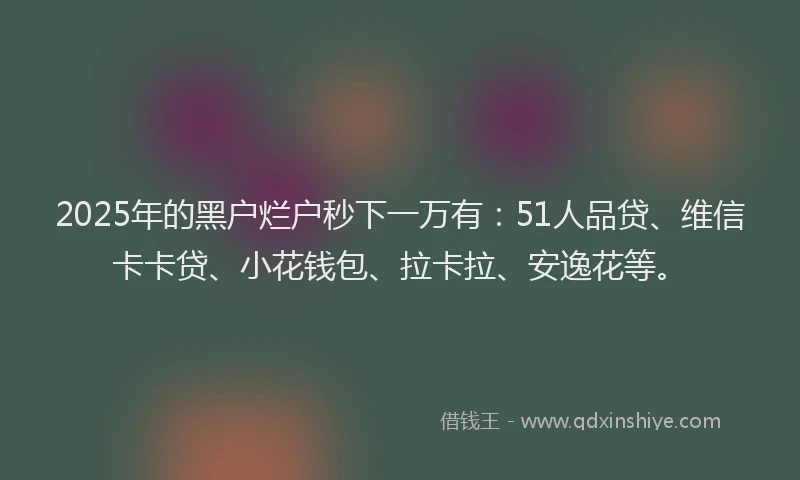 2025年的黑户烂户秒下一万有：51人品贷、维信卡卡贷、小花钱包、拉卡拉、安逸花等。