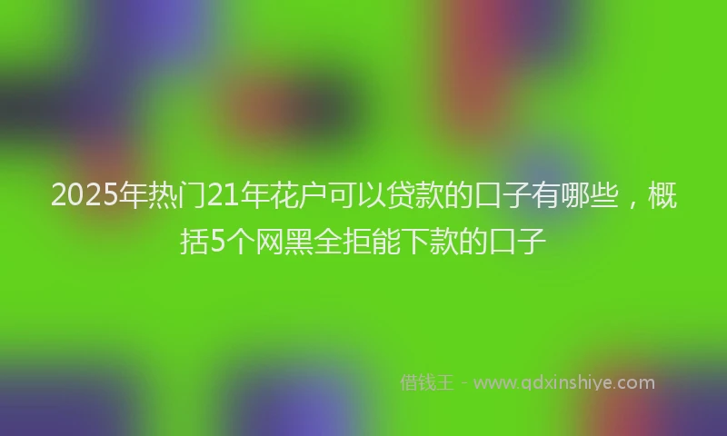2025年热门21年花户可以贷款的口子有哪些，概括5个网黑全拒能下款的口子