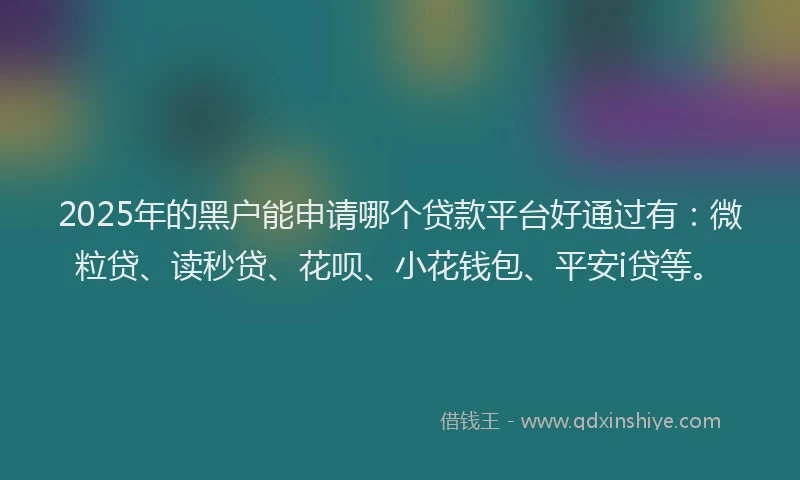 2025年的黑户能申请哪个贷款平台好通过有：微粒贷、读秒贷、花呗、小花钱包、平安i贷等。