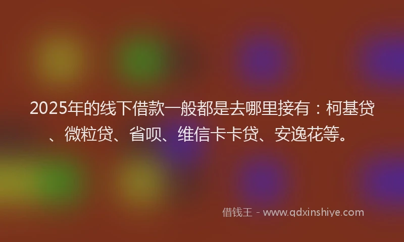2025年的线下借款一般都是去哪里接有：柯基贷、微粒贷、省呗、维信卡卡贷、安逸花等。