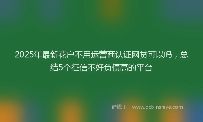 2025年最新花户不用运营商认证网贷可以吗，总结5个征信不好负债高的平台