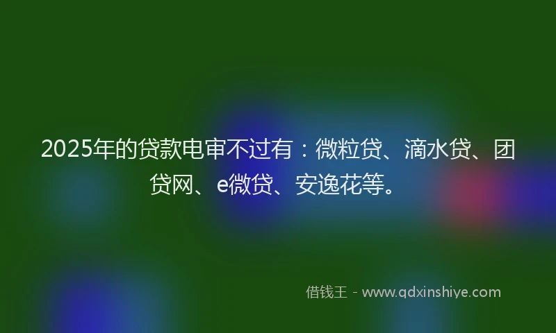 2025年的贷款电审不过有：微粒贷、滴水贷、团贷网、e微贷、安逸花等。