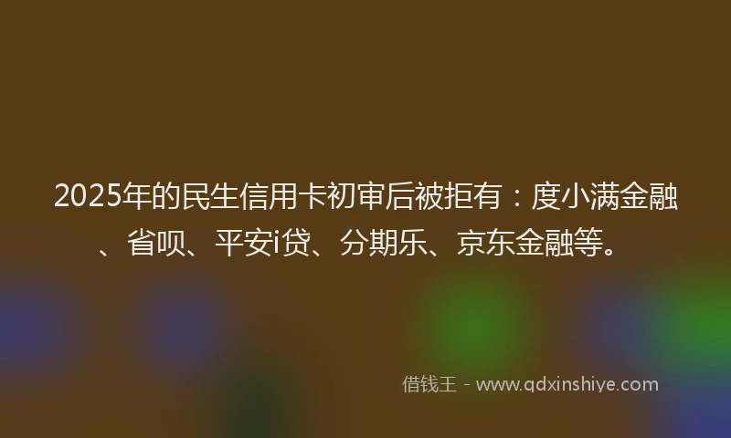 2025年的民生信用卡初审后被拒有：度小满金融、省呗、平安i贷、分期乐、京东金融等。