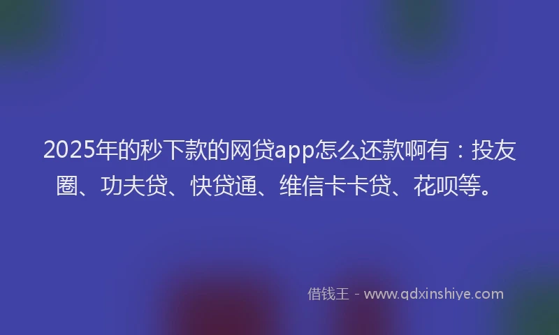 2025年的秒下款的网贷app怎么还款啊有：投友圈、功夫贷、快贷通、维信卡卡贷、花呗等。