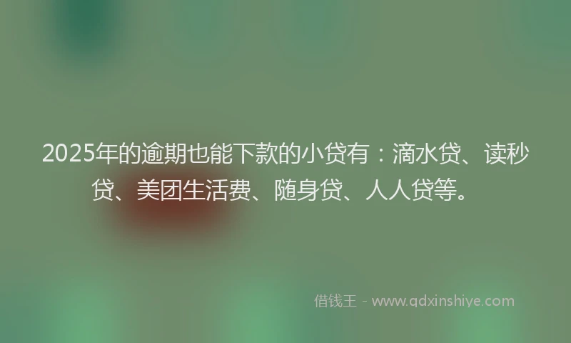 2025年的逾期也能下款的小贷有：滴水贷、读秒贷、美团生活费、随身贷、人人贷等。