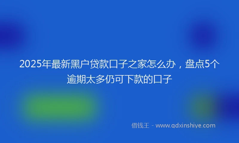 2025年最新黑户贷款口子之家怎么办，盘点5个逾期太多仍可下款的口子