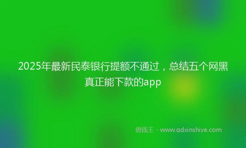 2025年最新民泰银行提额不通过，总结五个网黑真正能下款的app