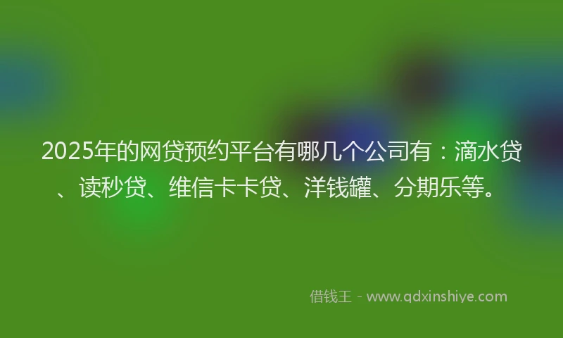2025年的网贷预约平台有哪几个公司有：滴水贷、读秒贷、维信卡卡贷、洋钱罐、分期乐等。