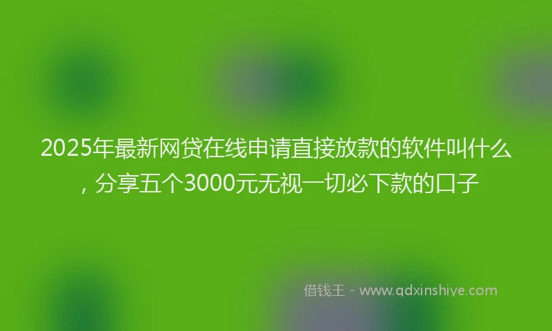 2025年最新网贷在线申请直接放款的软件叫什么，分享五个3000元无视一切必下款的口子