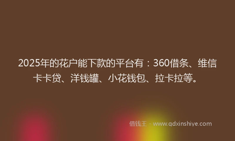2025年的花户能下款的平台有：360借条、维信卡卡贷、洋钱罐、小花钱包、拉卡拉等。
