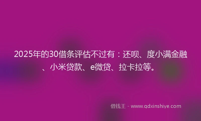 2025年的30借条评估不过有:还呗、度小满金融、小米贷款、e微贷、拉卡拉等。