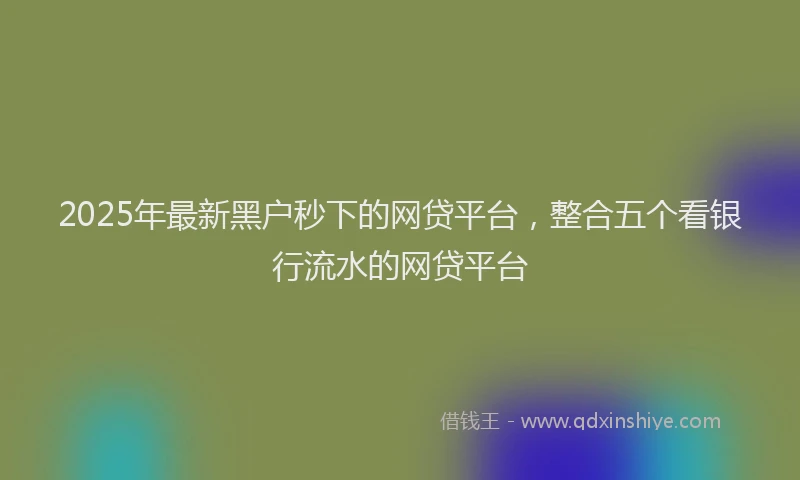 2025年最新黑户秒下的网贷平台，整合五个看银行流水的网贷平台