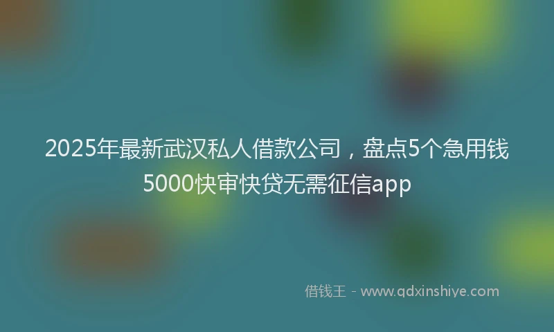 2025年最新武汉私人借款公司，盘点5个急用钱5000快审快贷无需征信app