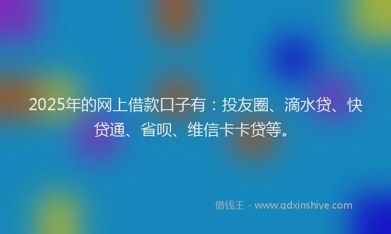 2025年的网上借款口子有：投友圈、滴水贷、快贷通、省呗、维信卡卡贷等。