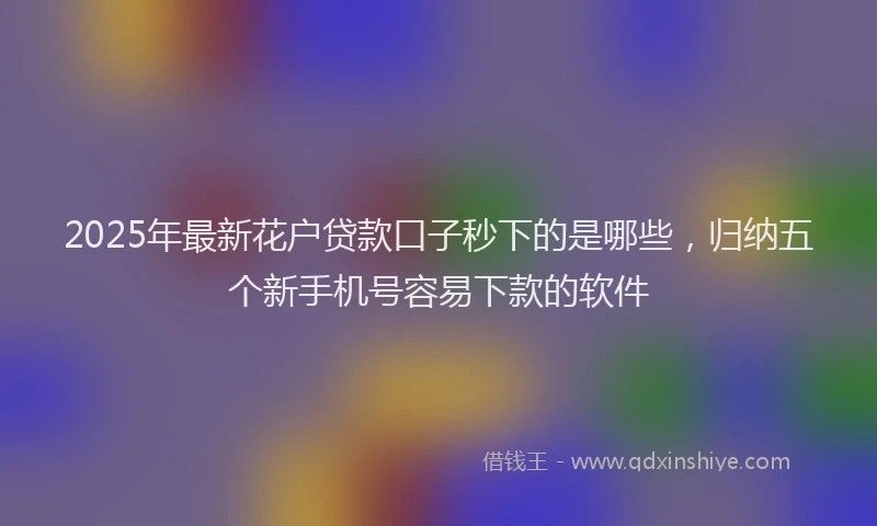 2025年最新花户贷款口子秒下的是哪些，归纳五个新手机号容易下款的软件