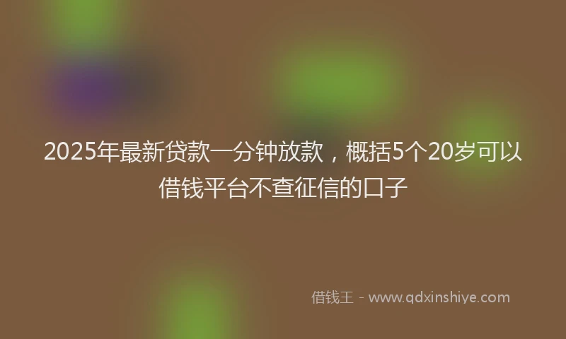 2025年最新贷款一分钟放款，概括5个20岁可以借钱平台不查征信的口子