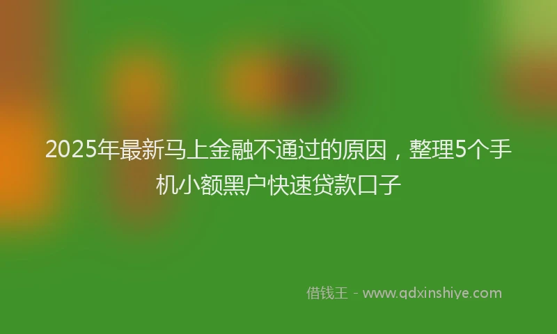 2025年最新马上金融不通过的原因，整理5个手机小额黑户快速贷款口子