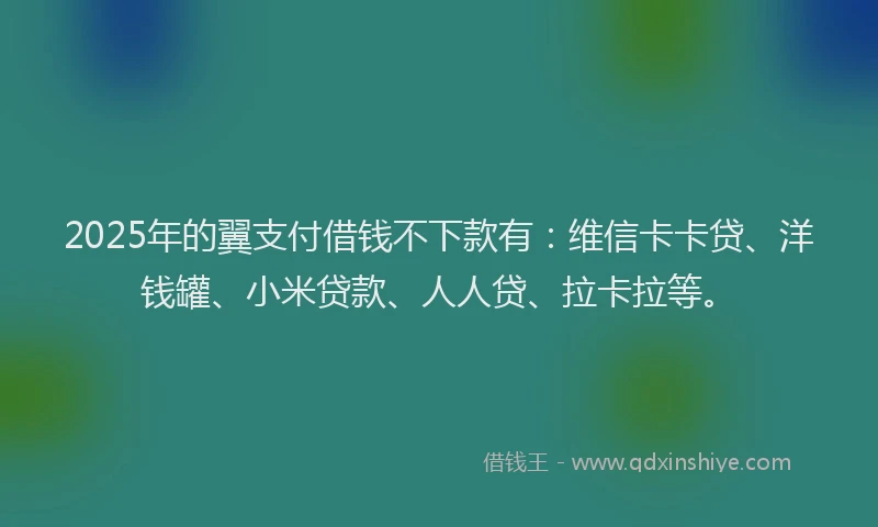 2025年的翼支付借钱不下款有：维信卡卡贷、洋钱罐、小米贷款、人人贷、拉卡拉等。