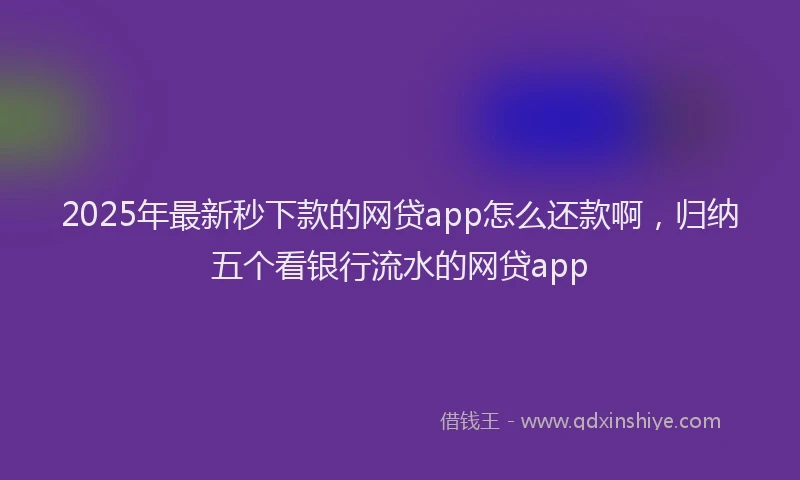 2025年最新秒下款的网贷app怎么还款啊，归纳五个看银行流水的网贷app