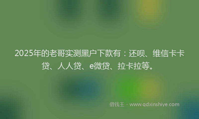 2025年的老哥实测黑户下款有：还呗、维信卡卡贷、人人贷、e微贷、拉卡拉等。