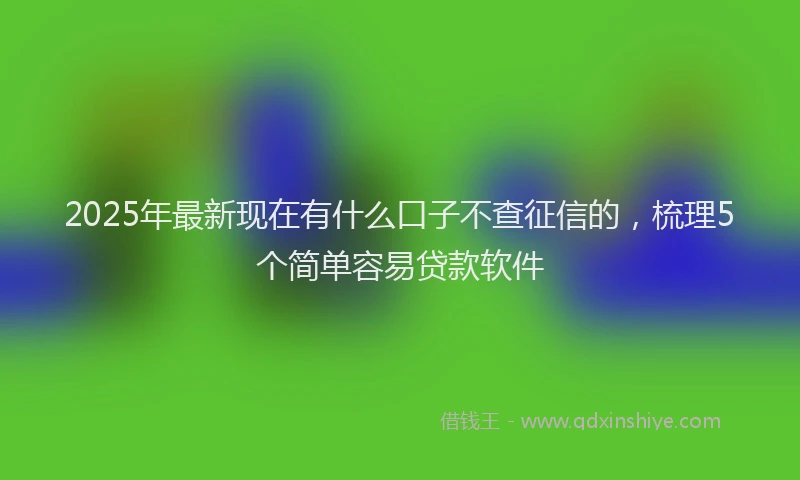 2025年最新现在有什么口子不查征信的，梳理5个简单容易贷款软件