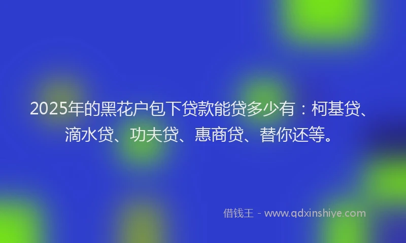 2025年的黑花户包下贷款能贷多少有：柯基贷、滴水贷、功夫贷、惠商贷、替你还等。