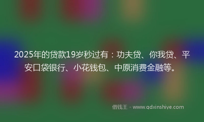 2025年的贷款19岁秒过有：功夫贷、你我贷、平安口袋银行、小花钱包、中原消费金融等。
