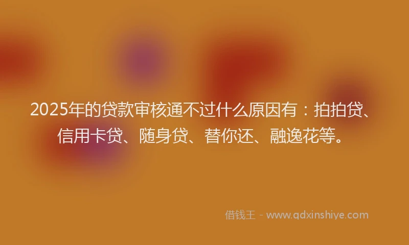 2025年的贷款审核通不过什么原因有：拍拍贷、信用卡贷、随身贷、替你还、融逸花等。
