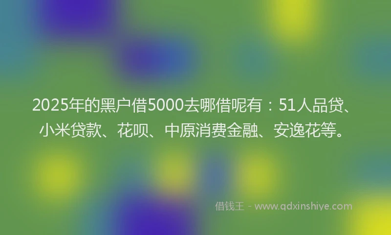 2025年的黑户借5000去哪借呢有：51人品贷、小米贷款、花呗、中原消费金融、安逸花等。
