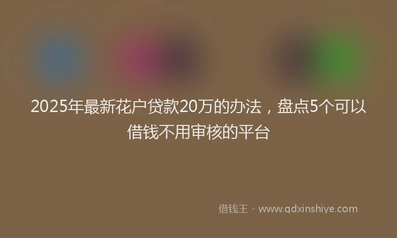 2025年最新花户贷款20万的办法，盘点5个可以借钱不用审核的平台