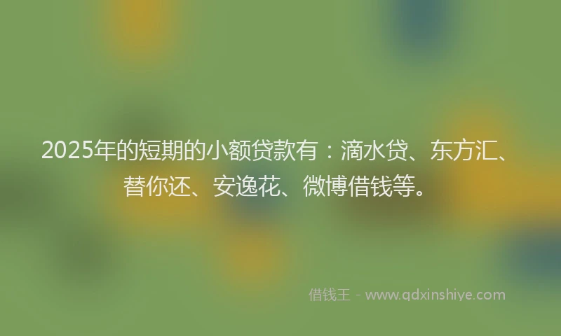 2025年的短期的小额贷款有：滴水贷、东方汇、替你还、安逸花、微博借钱等。