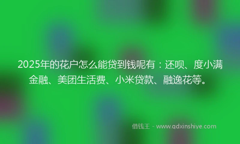 2025年的花户怎么能贷到钱呢有：还呗、度小满金融、美团生活费、小米贷款、融逸花等。