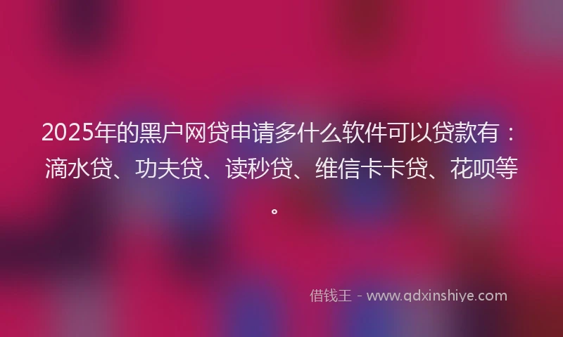 2025年的黑户网贷申请多什么软件可以贷款有：滴水贷、功夫贷、读秒贷、维信卡卡贷、花呗等。