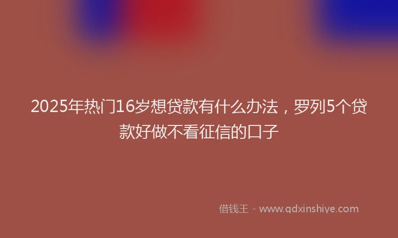 2025年热门16岁想贷款有什么办法，罗列5个贷款好做不看征信的口子