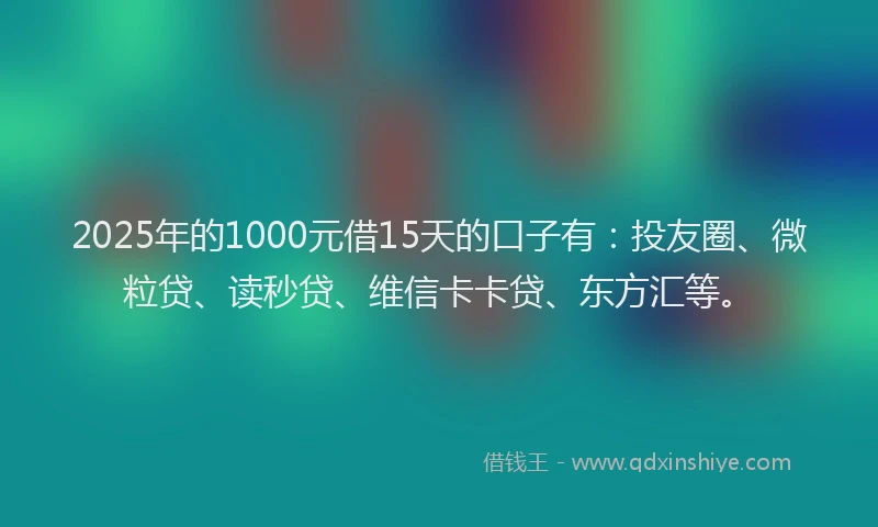 2025年的1000元借15天的口子有：投友圈、微粒贷、读秒贷、维信卡卡贷、东方汇等。