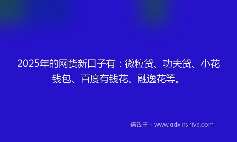 2025年的网货新口子有：微粒贷、功夫贷、小花钱包、百度有钱花、融逸花等。