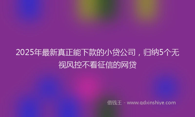 2025年最新真正能下款的小贷公司，归纳5个无视风控不看征信的网贷