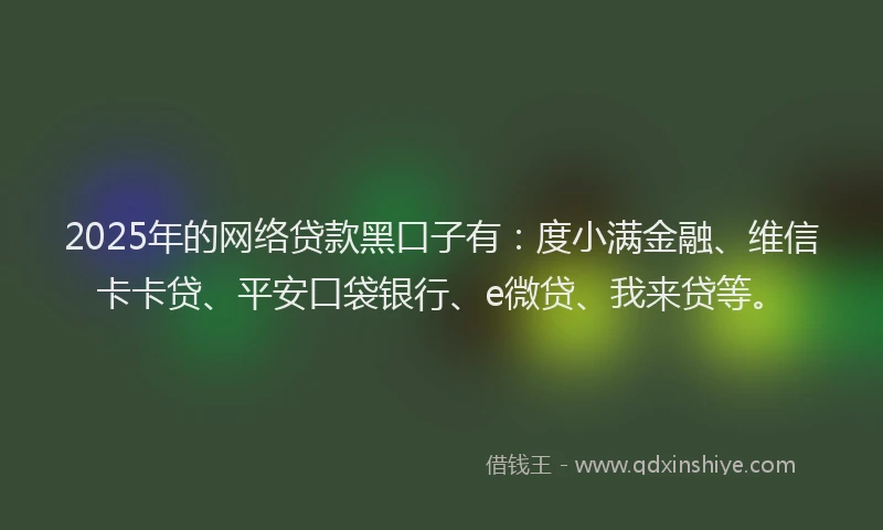 2025年的网络贷款黑口子有：度小满金融、维信卡卡贷、平安口袋银行、e微贷、我来贷等。