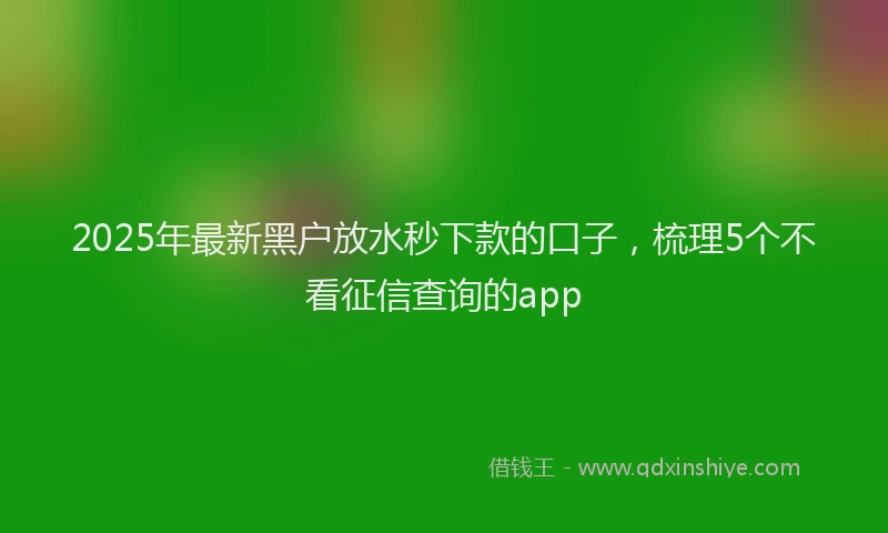 2025年最新黑户放水秒下款的口子，梳理5个不看征信查询的app