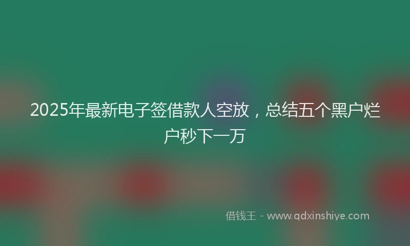 2025年最新电子签借款人空放，总结五个黑户烂户秒下一万